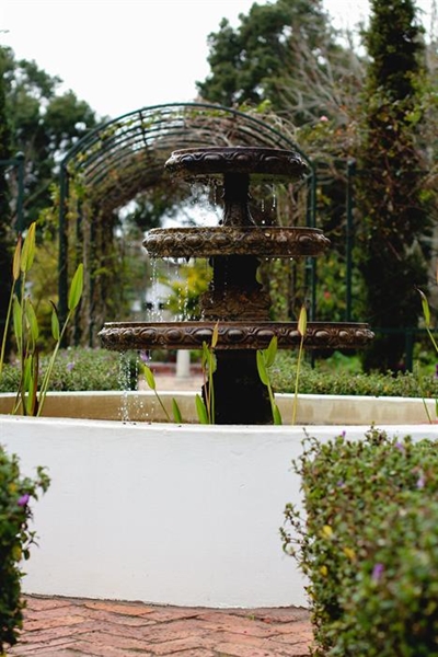 Show gardens open for viewing