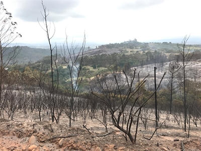 Plett fire mop-up 'will take weeks'
