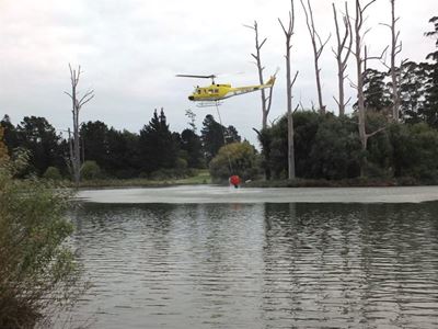 Weekend of flames in Garden Route