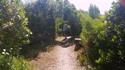 Beach access walkway transformed