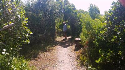 Beach access walkway transformed