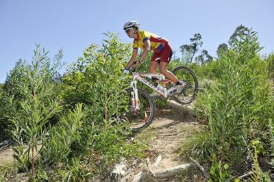 Update: Enter Garden Route 300