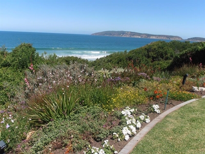 Garden enthusiasts help PAWS cause