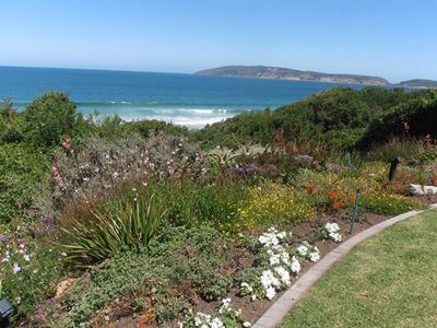 Garden enthusiasts help PAWS cause
