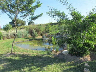 Learn about indigenous gardening