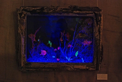 Seal Point Artists at Knysna gallery