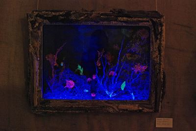 Seal Point Artists at Knysna gallery