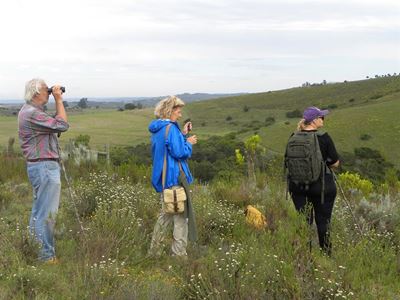 Walking Festival again puts Mossel Bay on the map