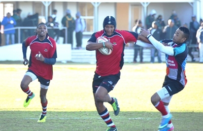 Harlequins en Spring Roses speel gelykop