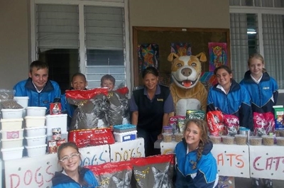 Hoekwil Primary collects food for SPCA