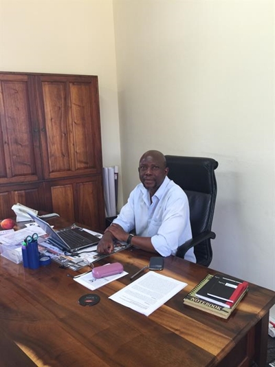 George & Knysna state forests to be replanted