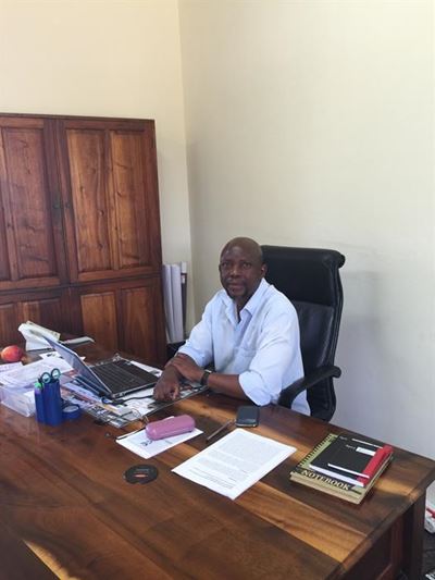 George & Knysna state forests to be replanted