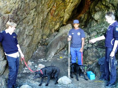Honde gered uit grot