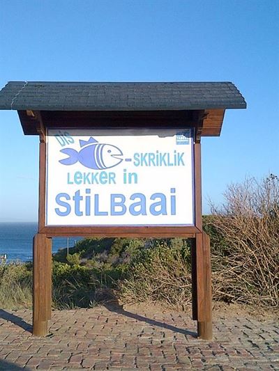 'Vis skriklik' lekker op Stilbaai