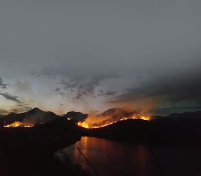 Brand na vier dae geblus