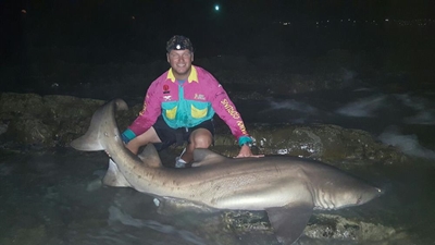 Potgieter hengel eerste plek los