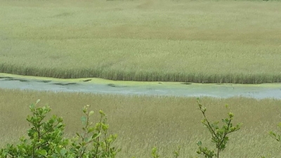 Concerns about Serpentine River
