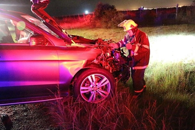 Cows on N2 cause accident