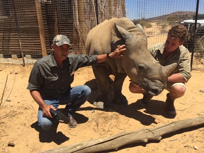 Renosters behandel danksy ingryping uit Oudtshoorn