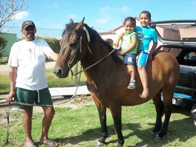 Horses ridden hard, one dead