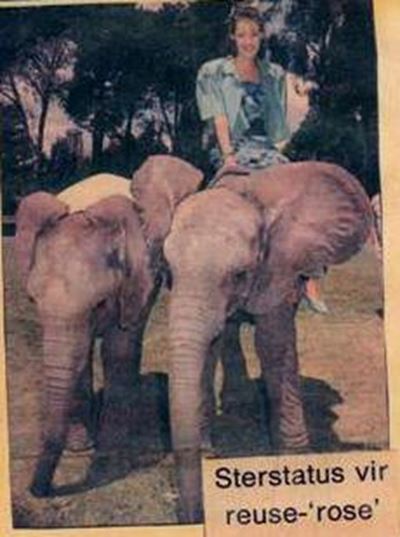 Gondwana-olifant wys haar ‘foto-album’