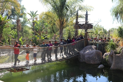 Duisende leerders by Cango Wildlife Ranch
