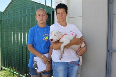 Omstanders red hond uit motor