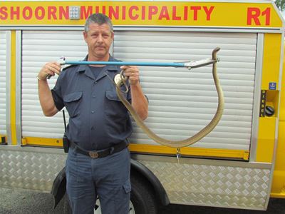 Los slangvang vir kundiges