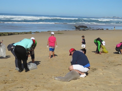 Brenton Beach clean-up
