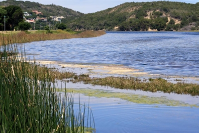 Fun day ends in tragedy as man drowns