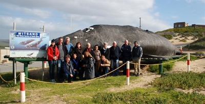 Exciting Explorer's Garden Route
