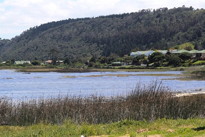 Fish mortalities in Swartvlei drop
