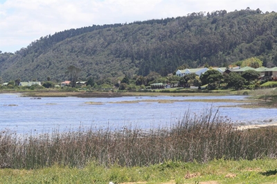 Fewer fish deaths in Swartvlei