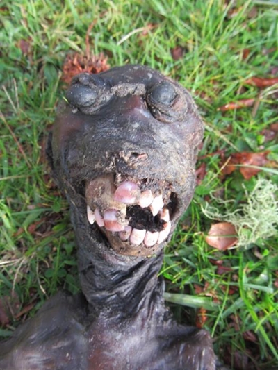 Update: Not a monstrous mystery