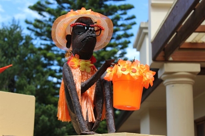 Antique shop voted 'most orange' in Slow Festival