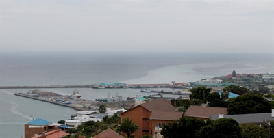 Dark patches in sea no cause for concern