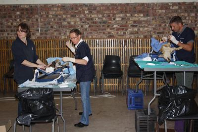Mass sterilisation a huge success