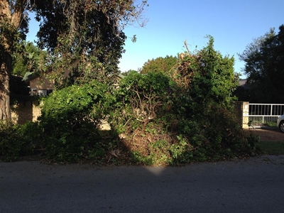 Winds reach 95km/h in Sedgefield