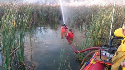Groenvlei fire tackled from all sides