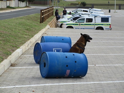 Police dog units prepare for election