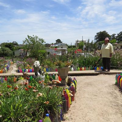 A very unusual garden