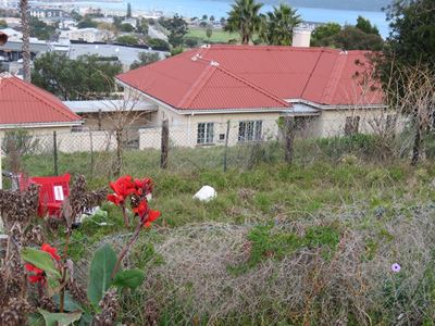 Eviction and cleanup of 'houses of horror'
