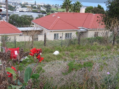 Knysna houses of horror a national problem