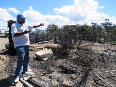 Farmers worried about their live stock
