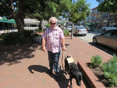 'No guide dogs allowed'