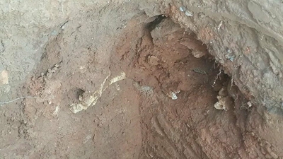 Oorskot se oorsprong bepaal