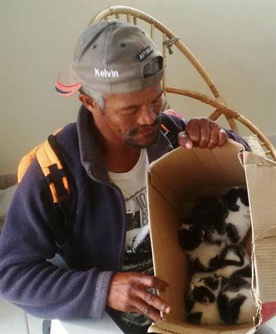 Kittens rescued from certain death