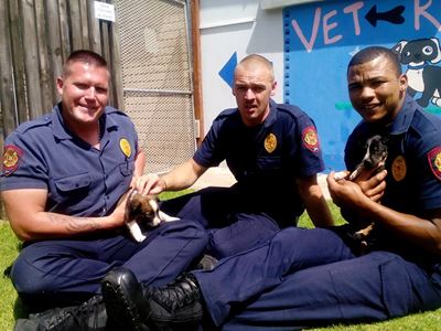 Opvolg: Brandweermanne red hondjies