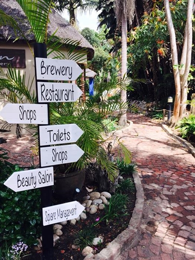 Palms Garden Square - an oasis in Wilderness