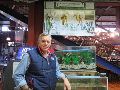 Seahorses' unsure future at iconic home